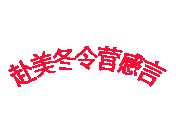 赴美冬令營(yíng)感言